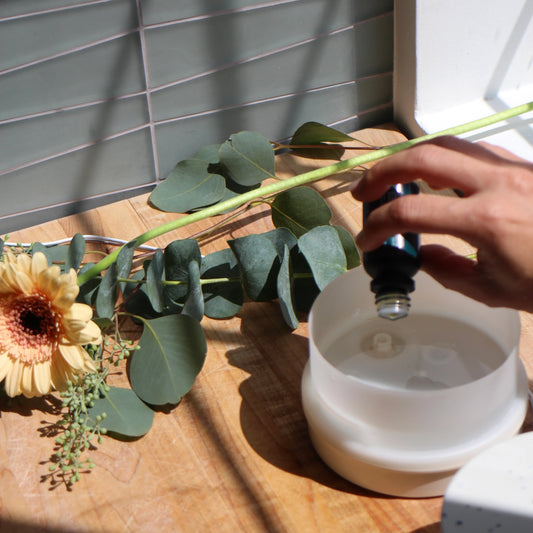 🌿 Natural Scents vs. Synthetic Fragrances: What Truly Supports Your Wellbeing