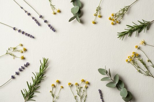 The Art of the Remix: Why Single Essential Oils Are Your Ultimate Creative Freedom