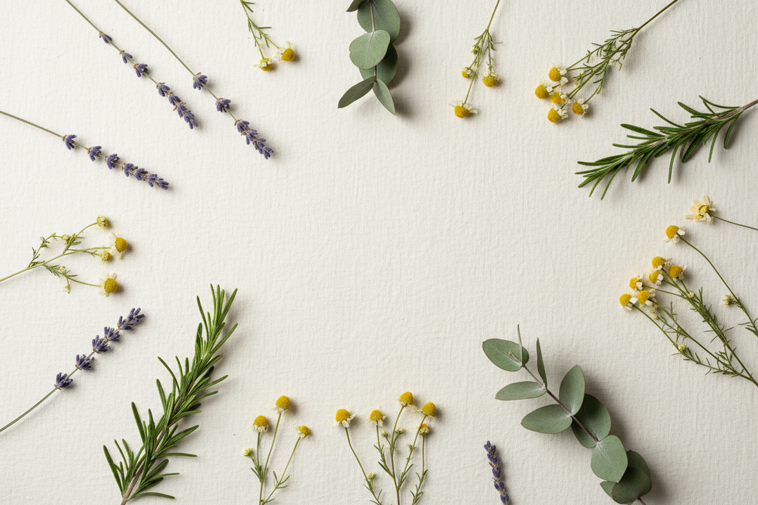 botanicals on minimalist background