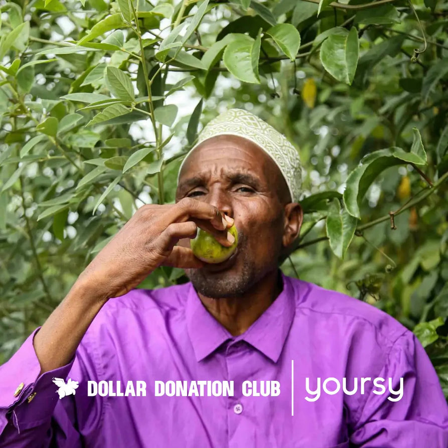 grounding aromatherapy blend Yoursy