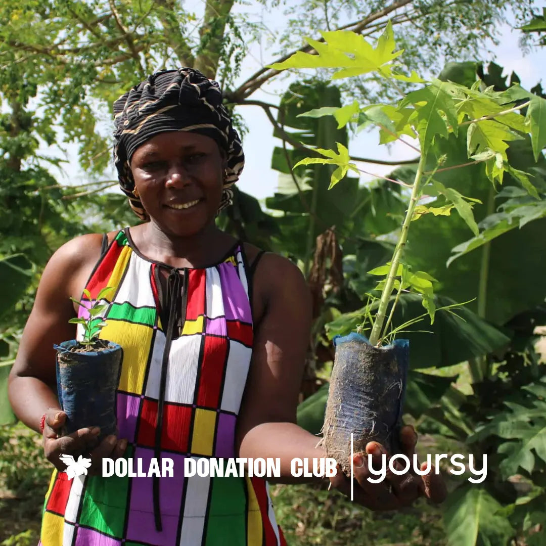 natural aromatherapy oil for stress relief Yoursy